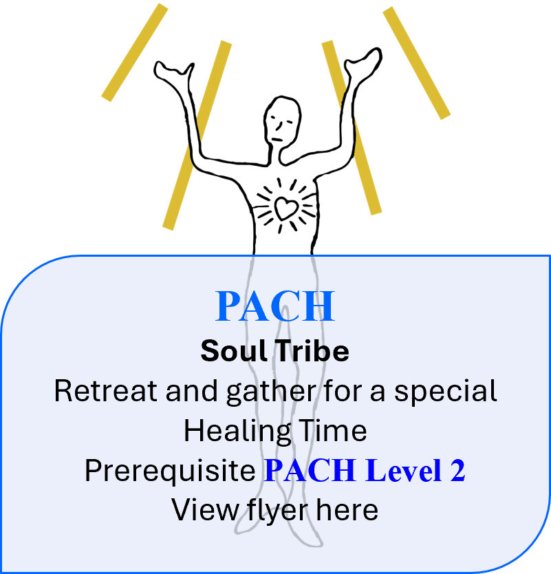 PACH Soul Tribe Mailchimp